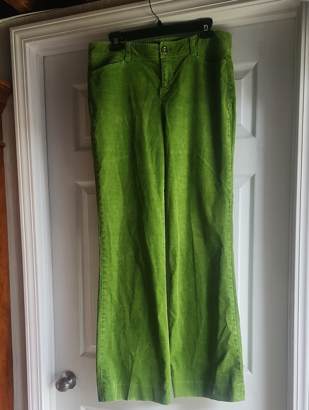Lily Puliter Cordorory Pants